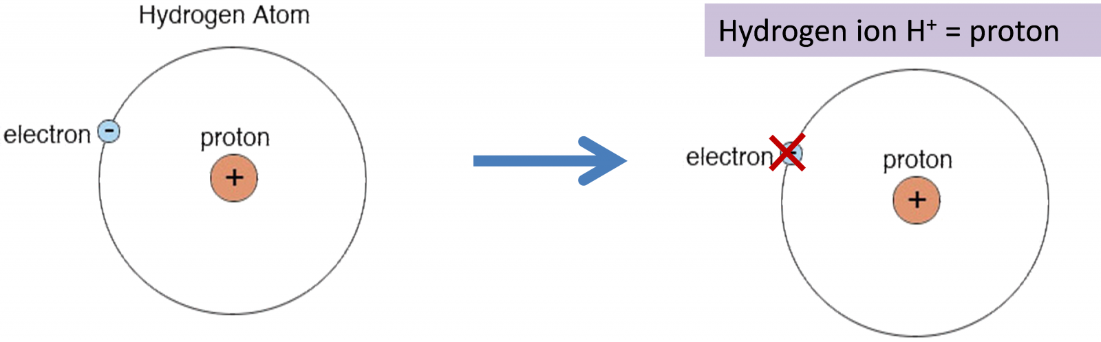 Machine generated alternative text:electronHydrogen AtomHydrogen ion W = protonelectiproton