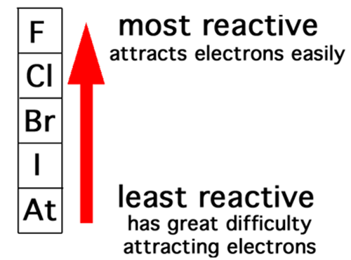 Machine generated alternative text:F most reactive attracts electrons easily least reactive has great difficulty attracting electrons