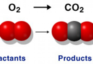 1.1.4 Common types of reaction